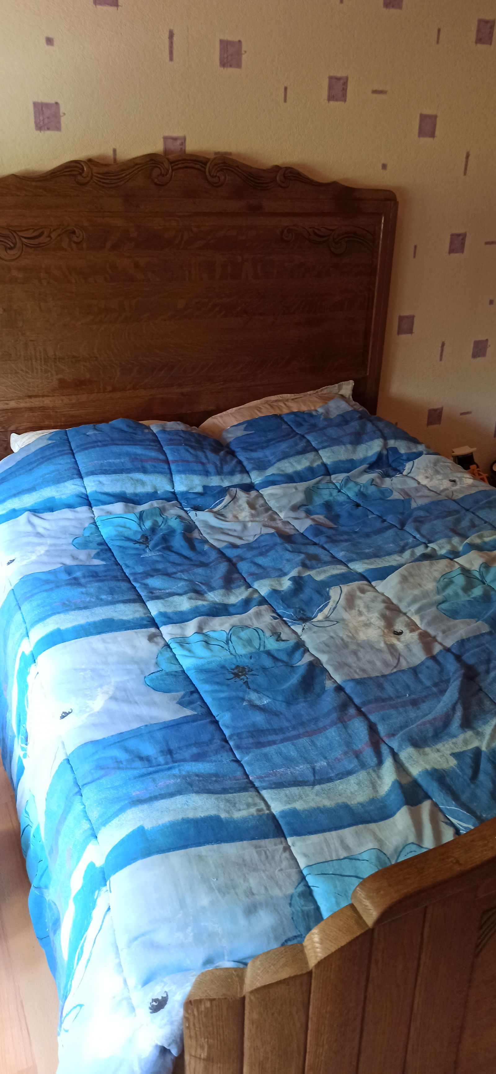 Homestay Fougerolles 100744