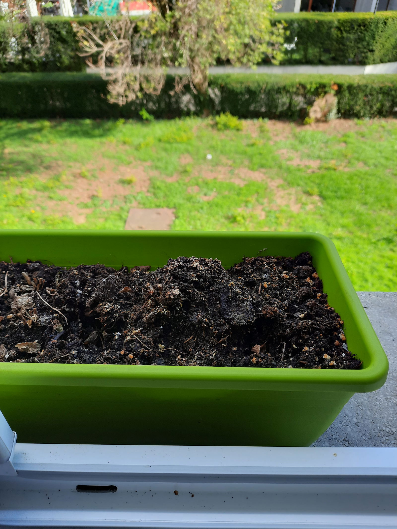 Homestay Thônex 50683