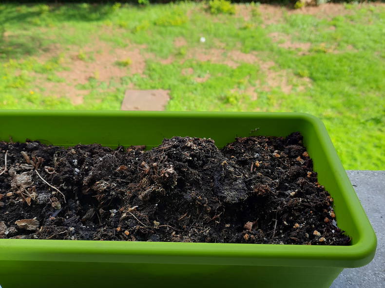 Quedarse En Casa Thônex 50683-5