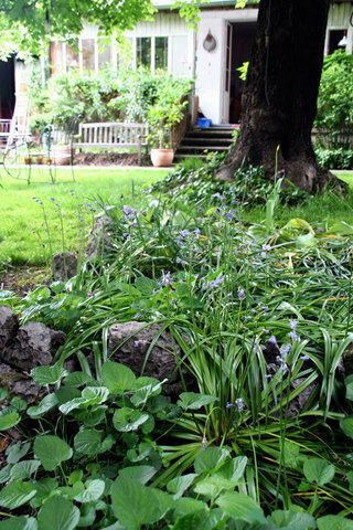 Homestay Grenoble 49677