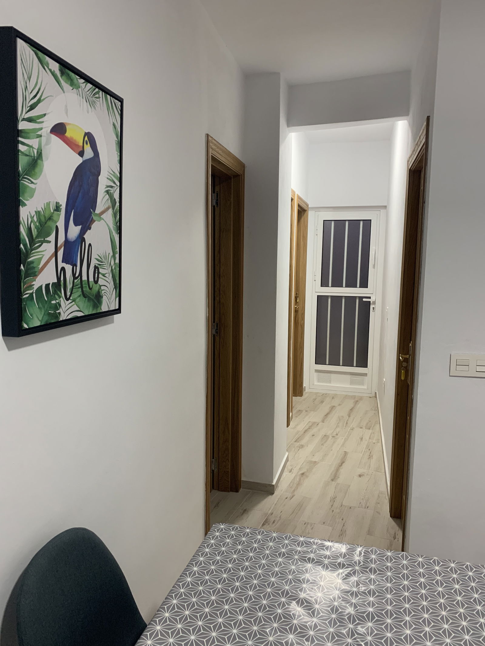 Colocation Murcia 226968