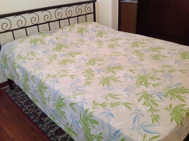 Homestay New Delhi 38428