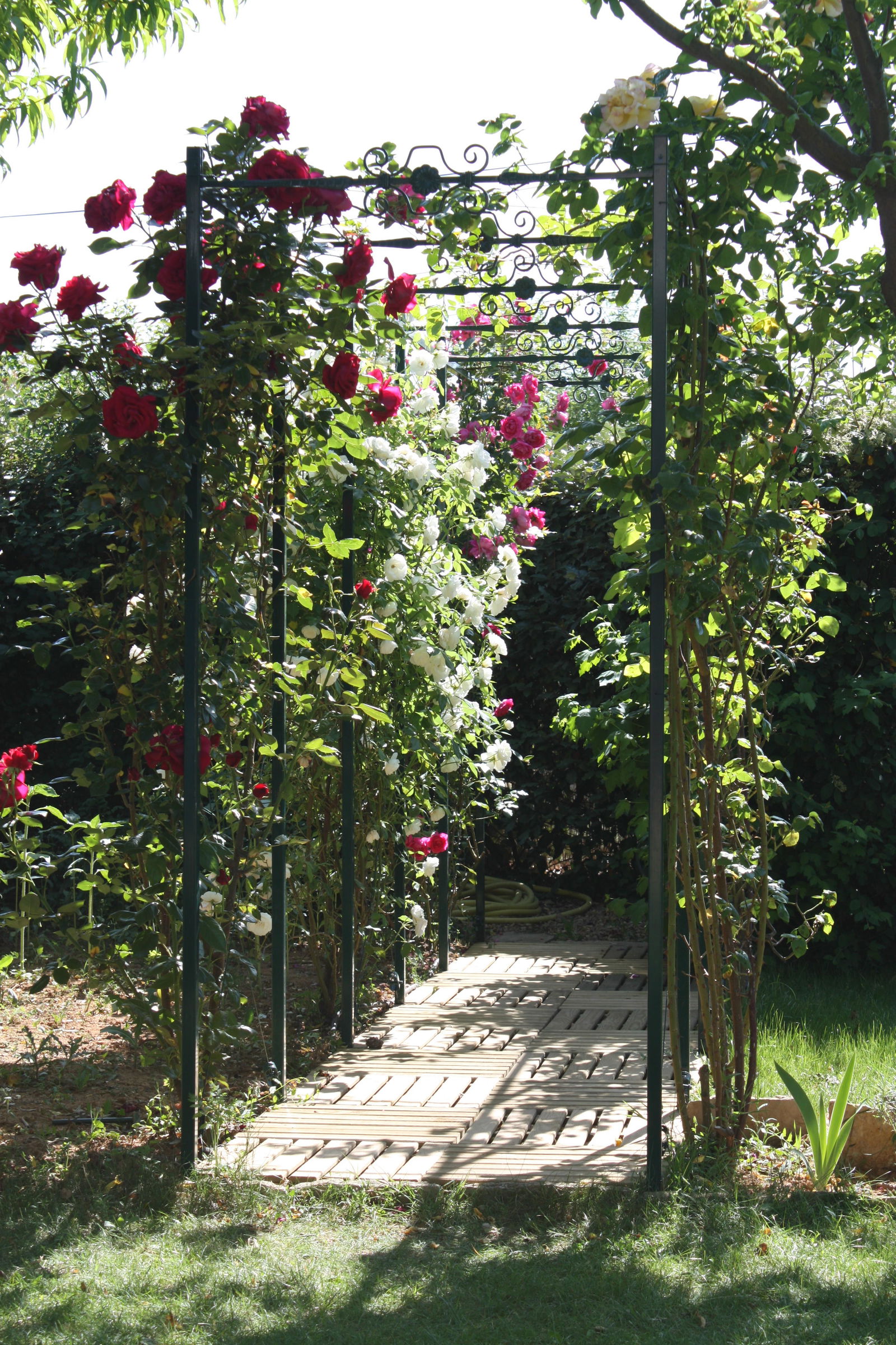 Homestay Caissargues 495832