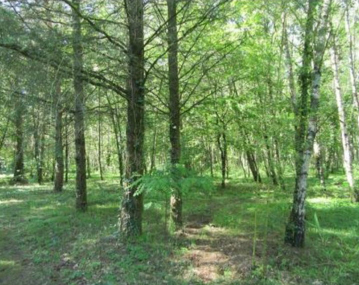 Homestay Yvoy-le-Marron 359279