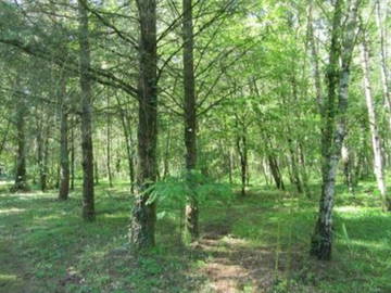 Homestay Yvoy-Le-Marron 359279-6