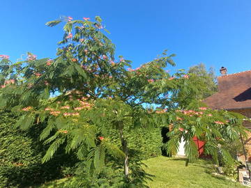 Homestay Yvoy-Le-Marron 359279-8