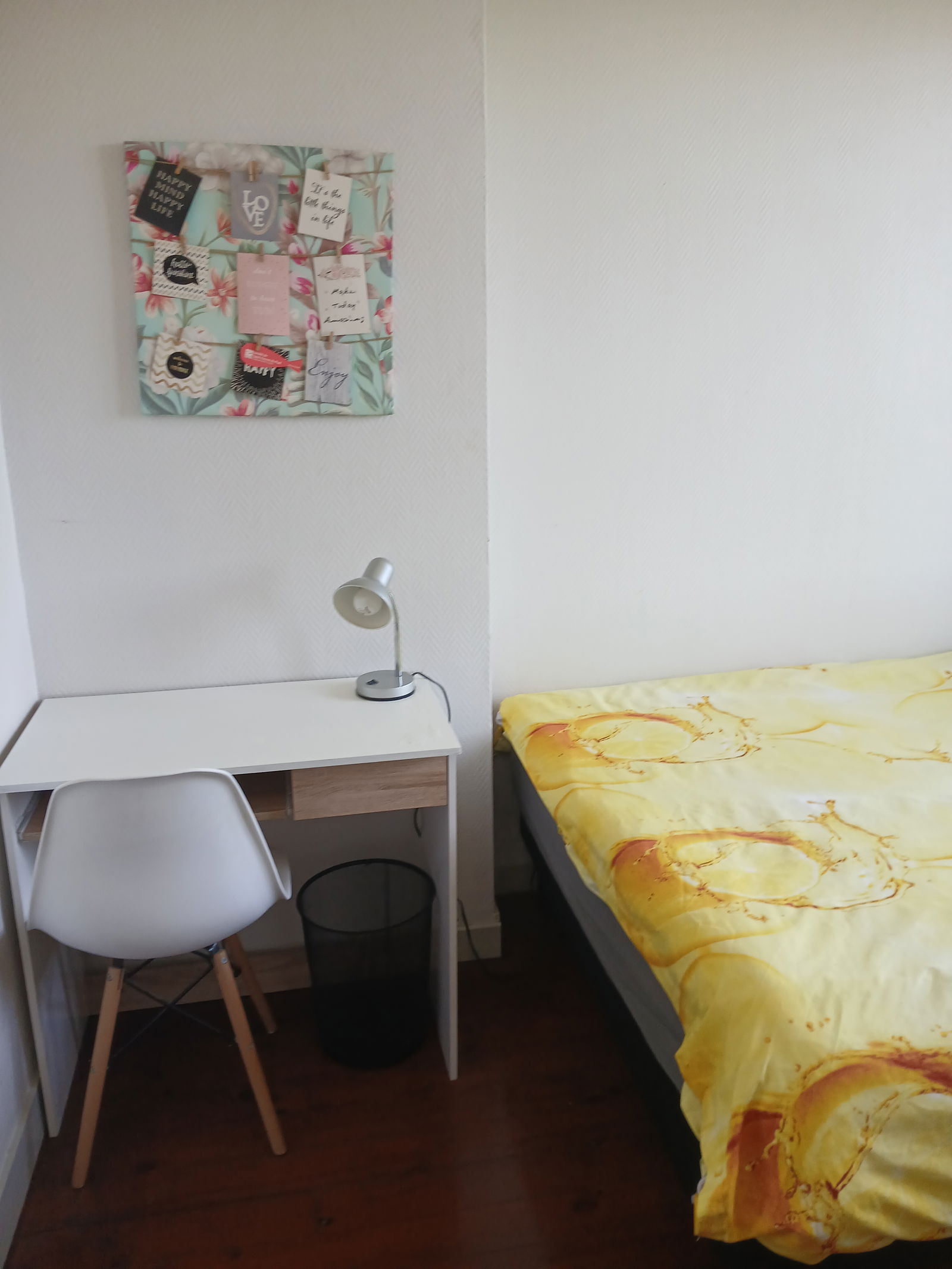 Colocation Saumur 232839