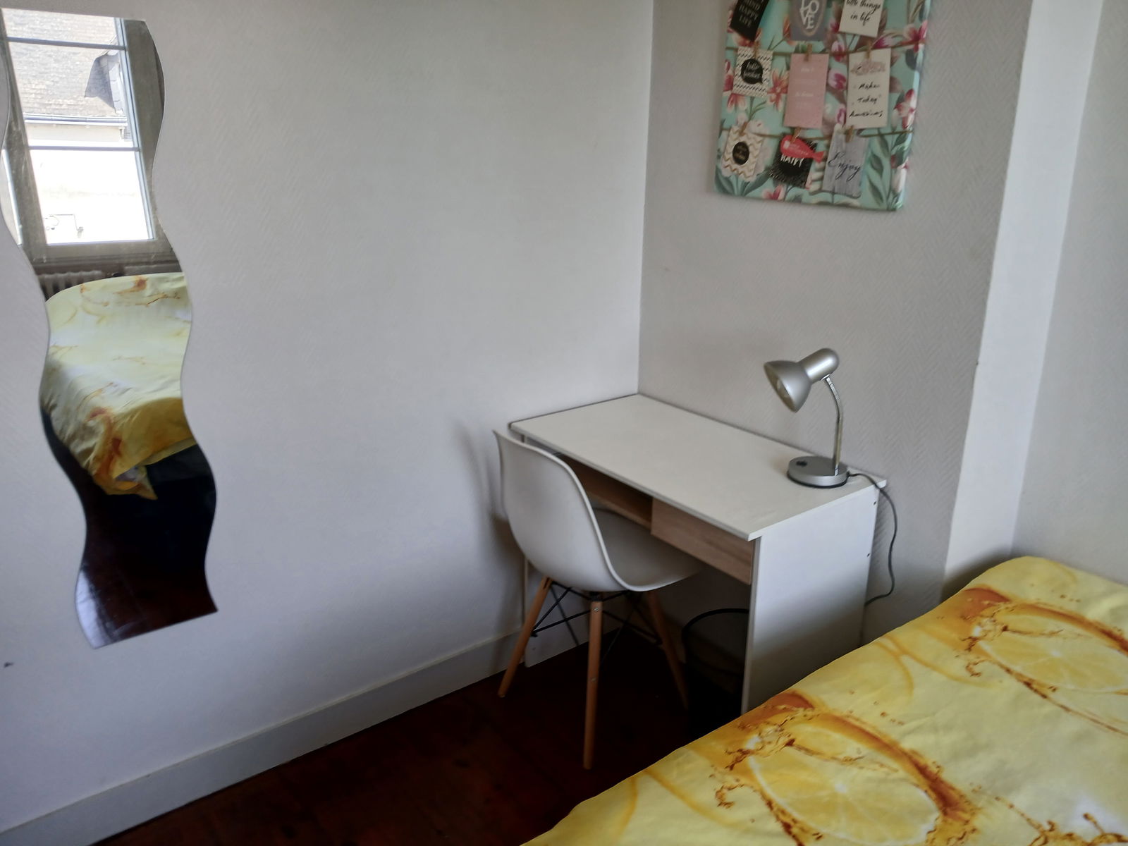 Colocation Saumur 232839