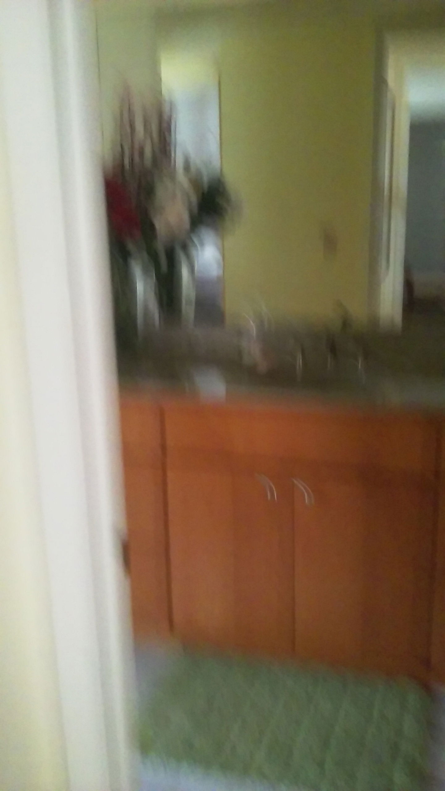 Homestay Hudson 213772