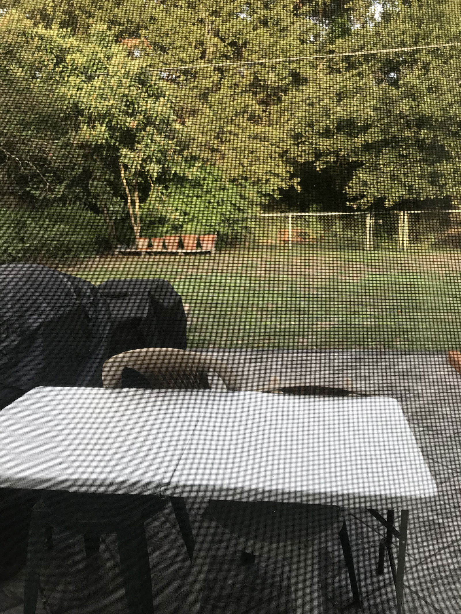 Gastgezin Houston 258491