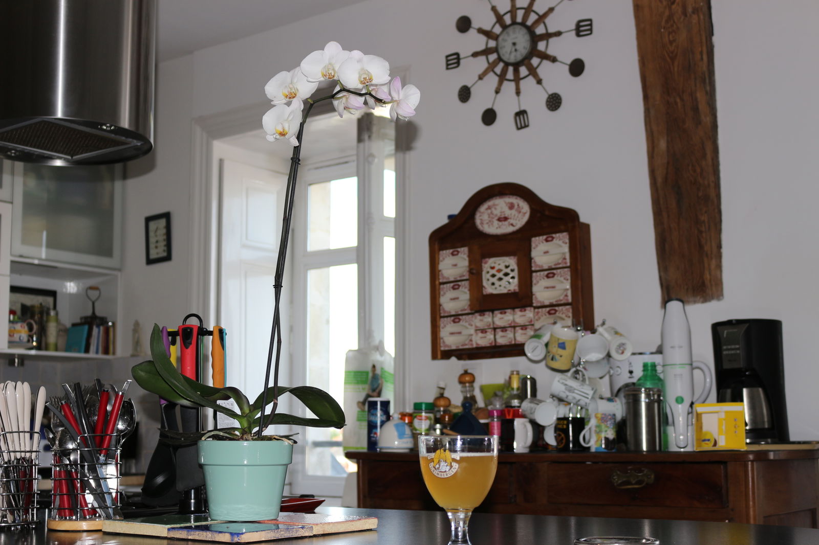 Homestay Nantes 341322