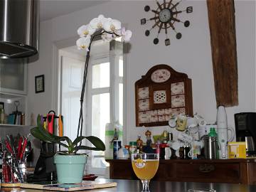 Chambre Chez L'habitant Nantes 341322-5