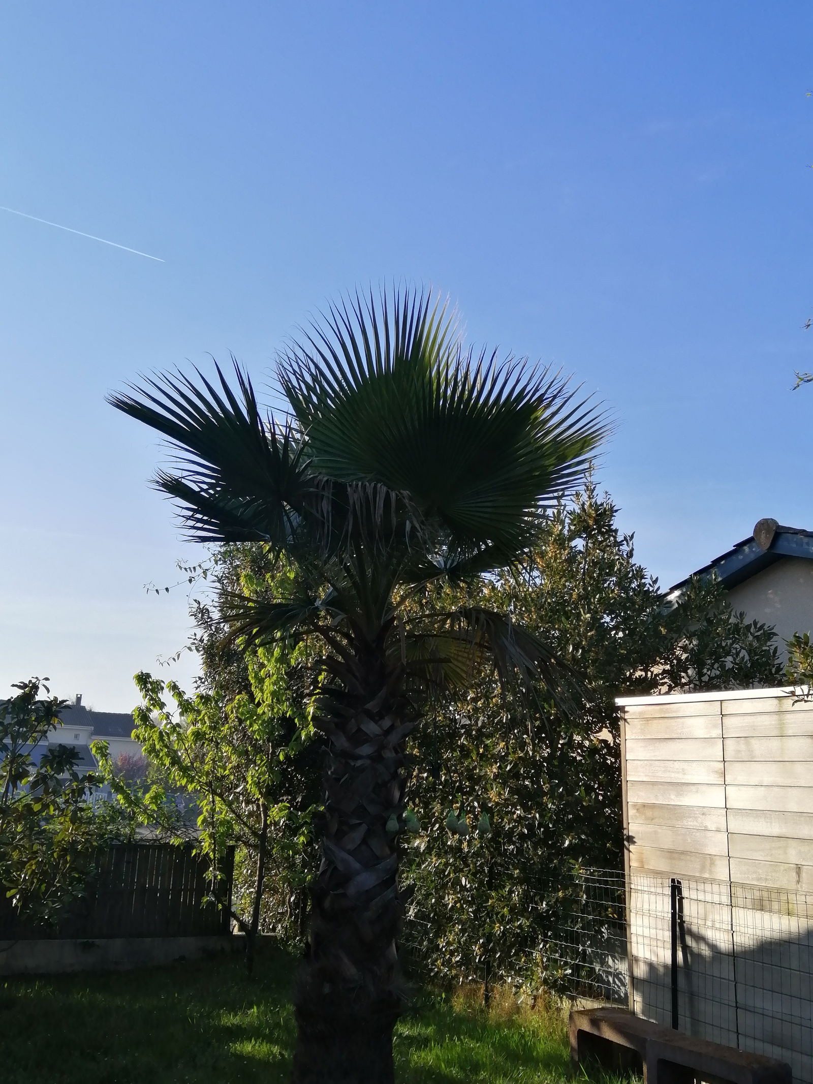 Homestay Pessac 573812