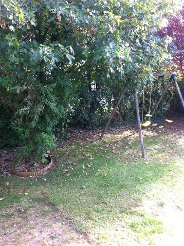 Homestay Issoudun 57855