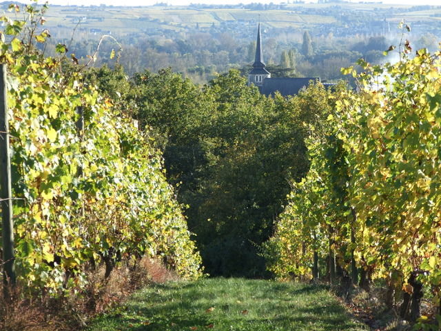Bed And Breakfast Savennières 44536