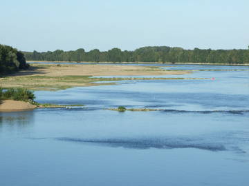 Chambre D'hôte Savennières 44536-6