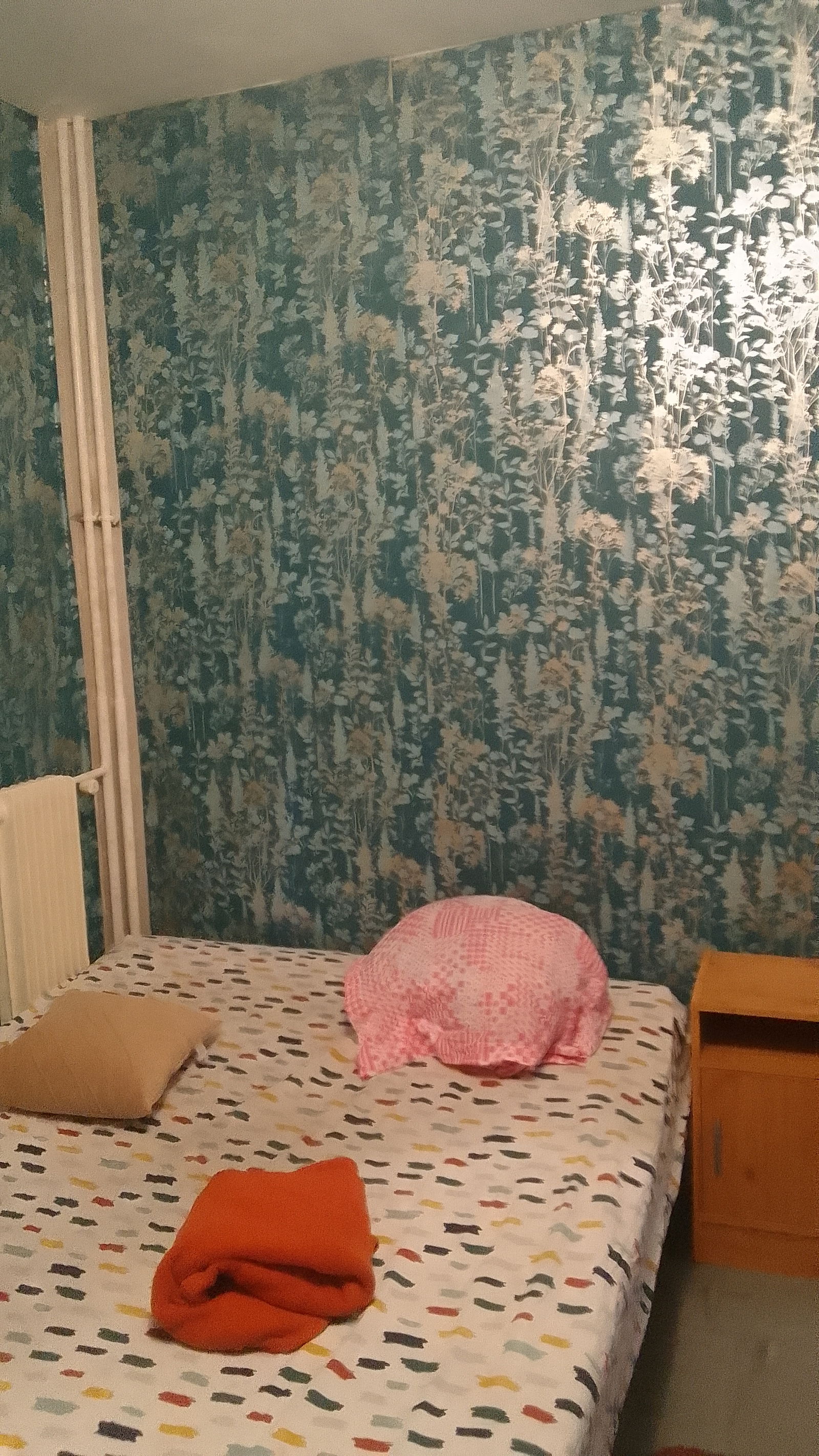 Colocation La Ferté-sous-Jouarre 377659