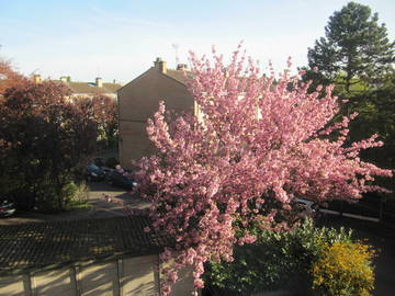 Chambre Chez L'habitant Lambersart 88229-5