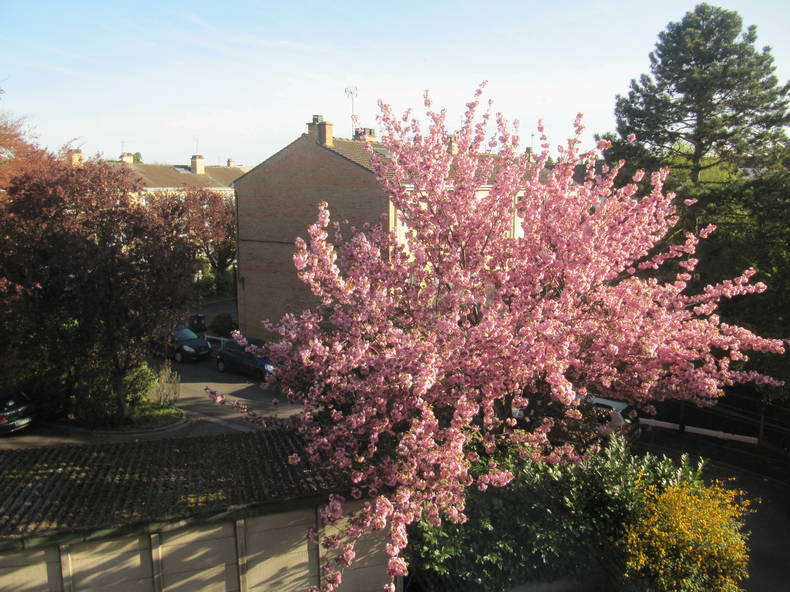 Homestay Lambersart 88229-5