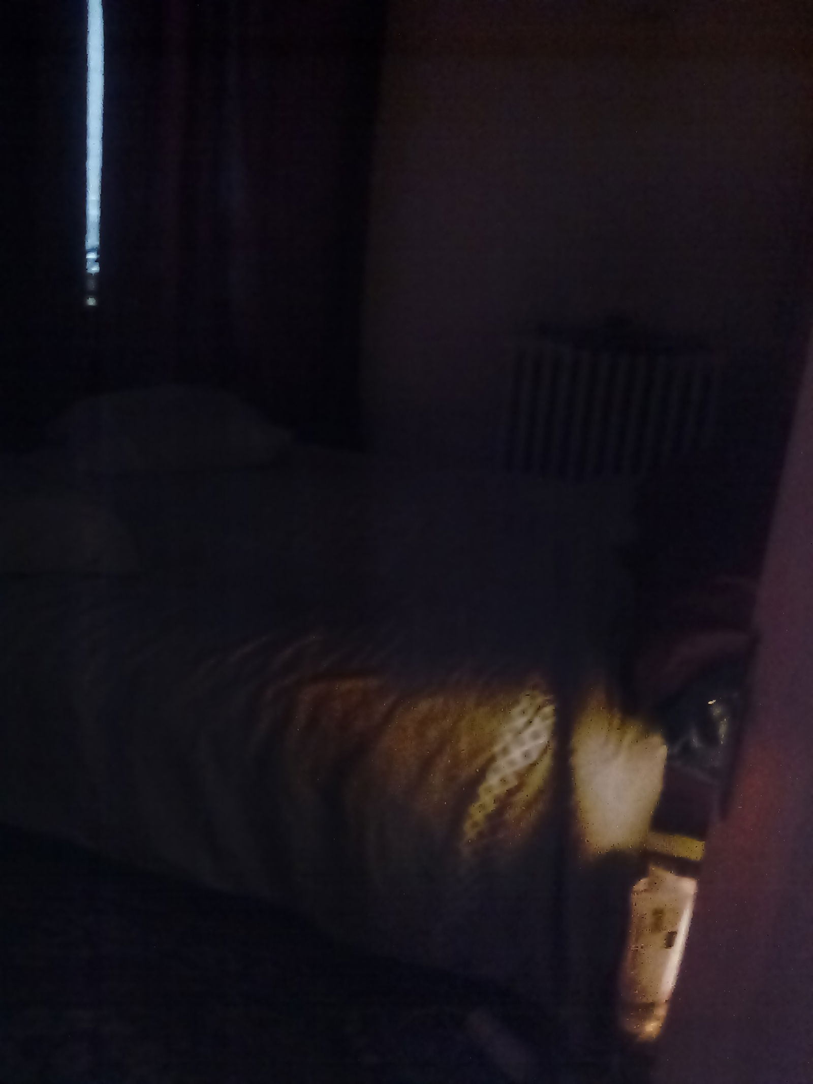 Homestay Limoges 232879