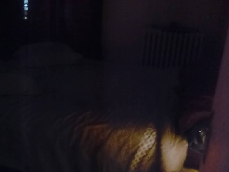 Chambre Chez L'habitant Limoges 232879-2