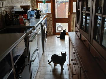 Chambre Chez L'habitant London 476849-4