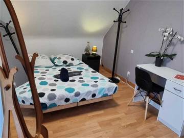 Room For Rent Lorient 231280