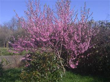 Chambre Chez L'habitant Lorient 231280-9