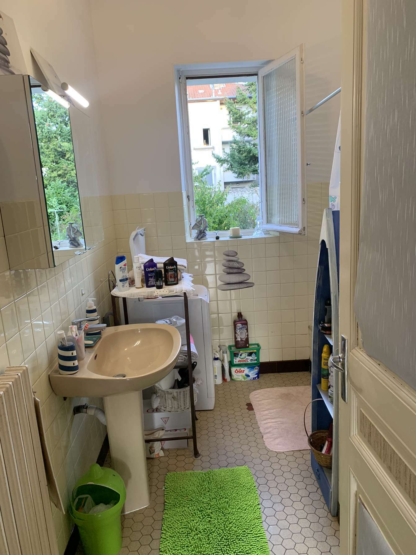 Homestay Lyon 241851