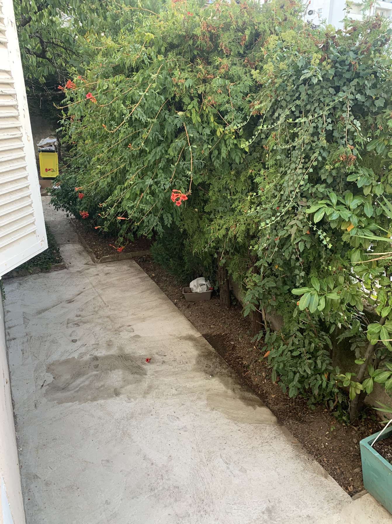 Homestay Lyon 241851