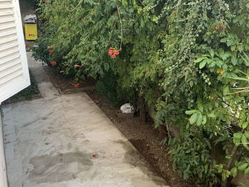 Chambre Chez L'habitant Lyon 241851-4