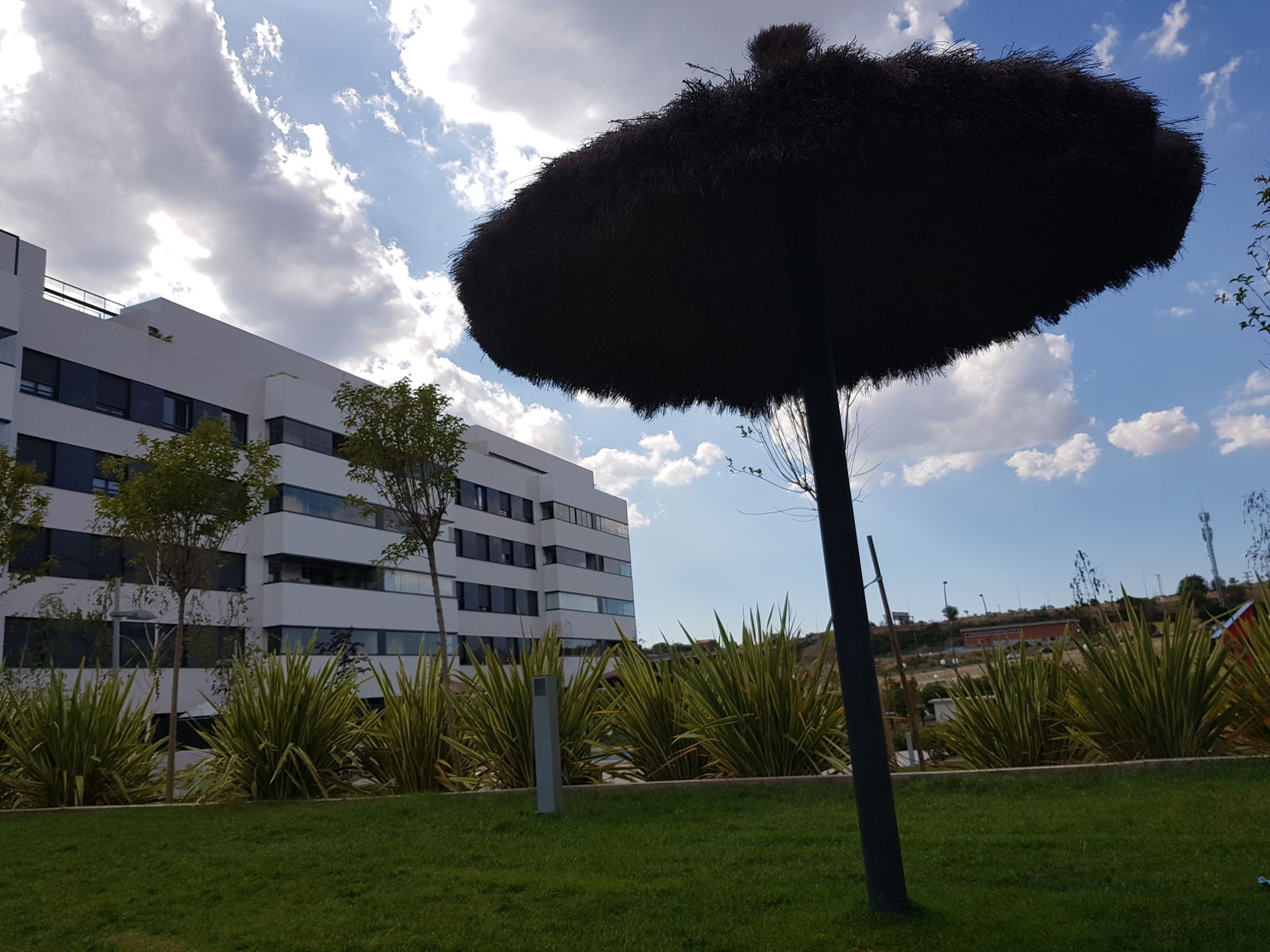 Homestay Madrid 215412