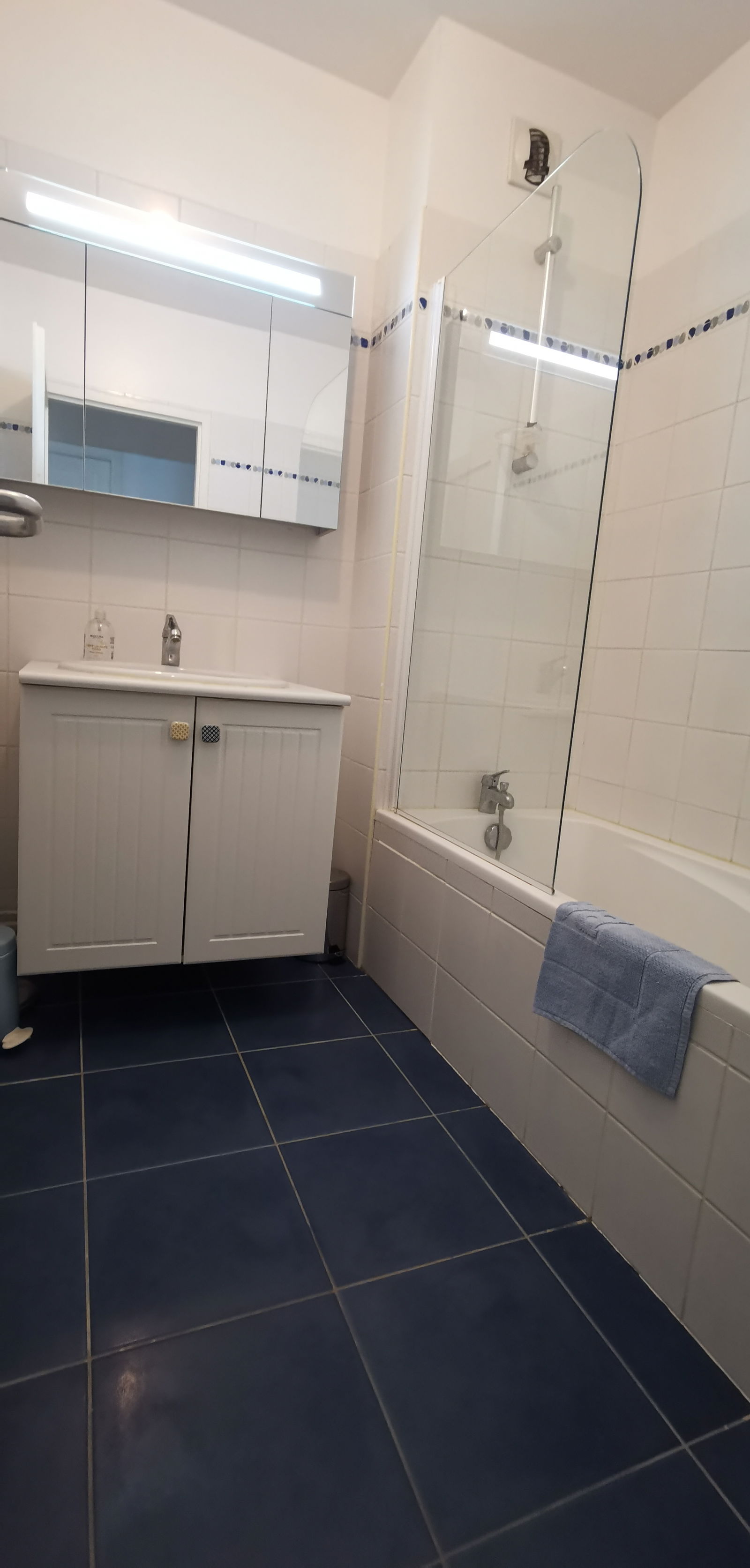 Colocation Châtelaillon-Plage 431226