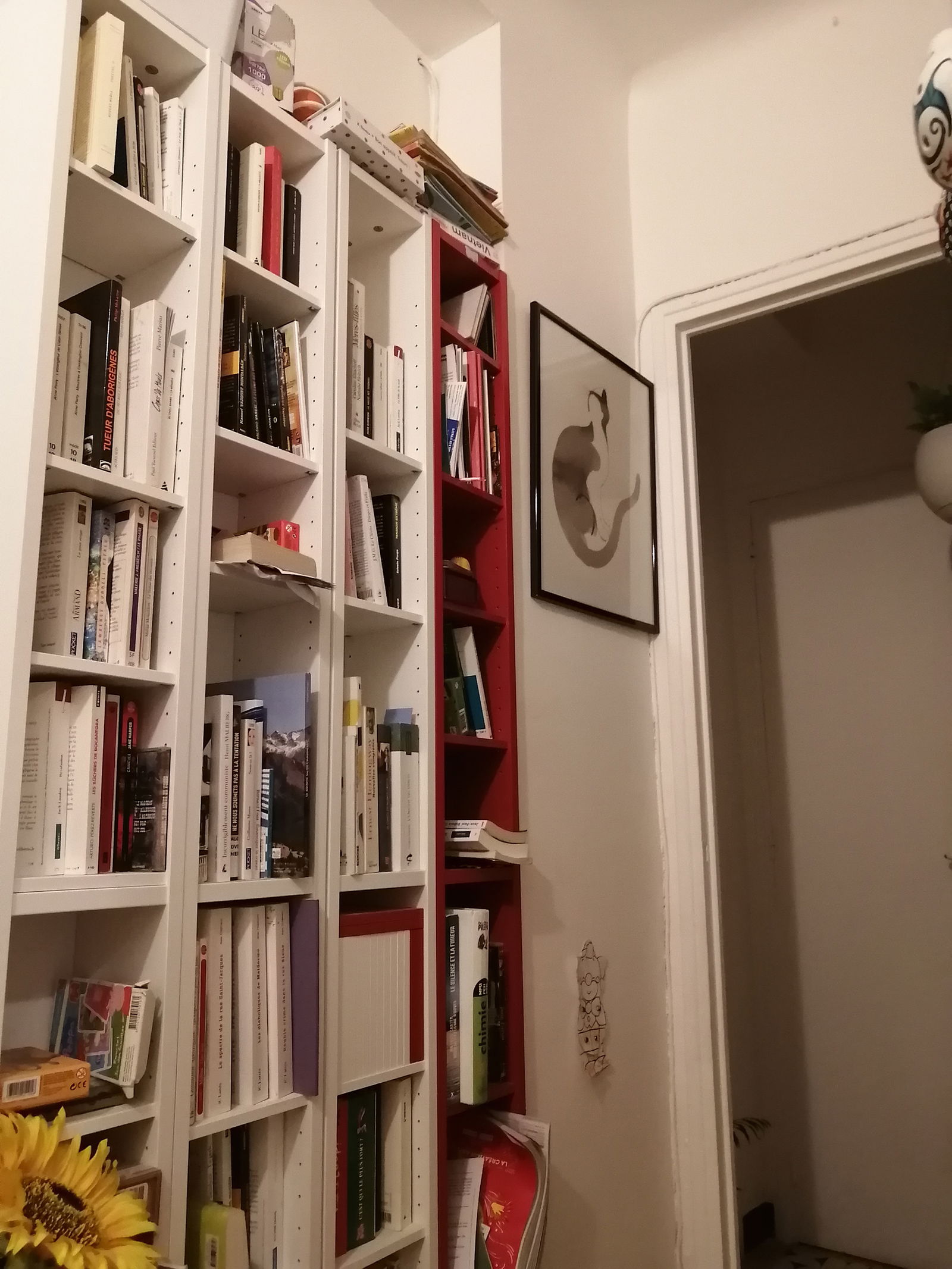 Homestay Marseille 268014
