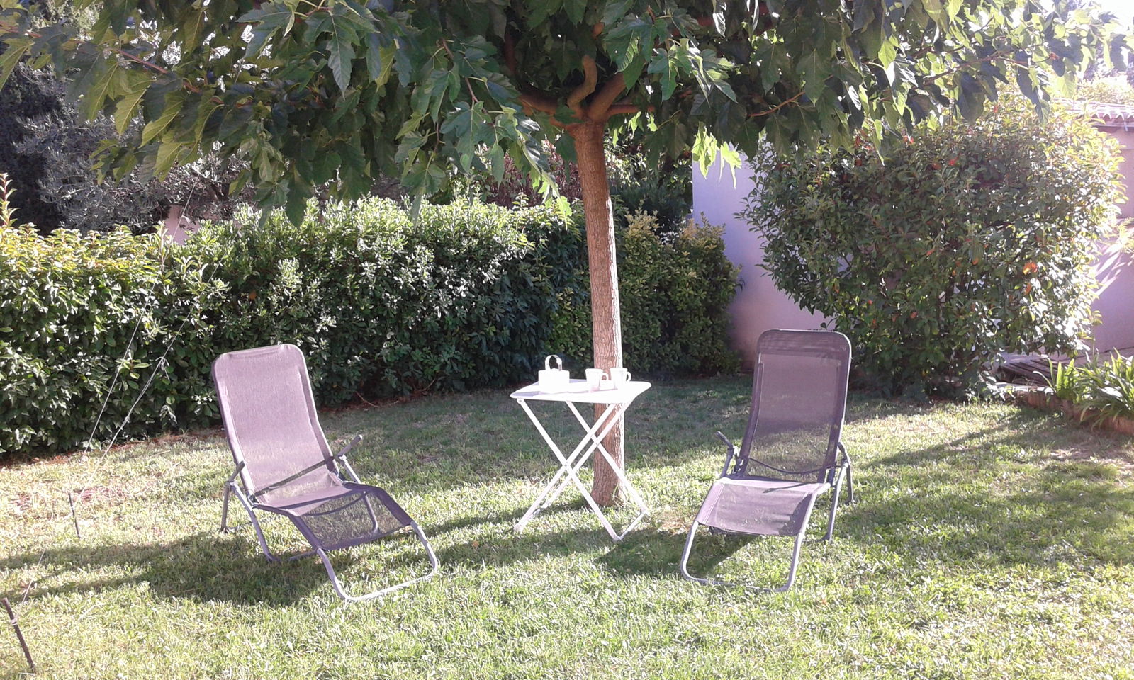 Homestay Les Matelles 241096