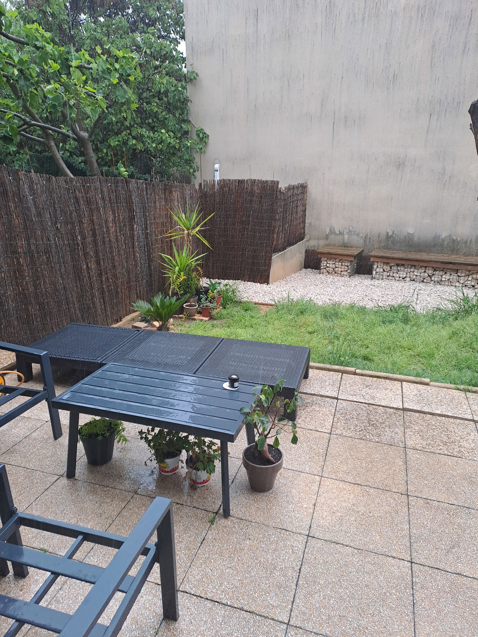 Homestay Montpellier 241099