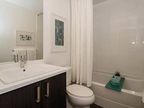 Kolokation Surrey 635997