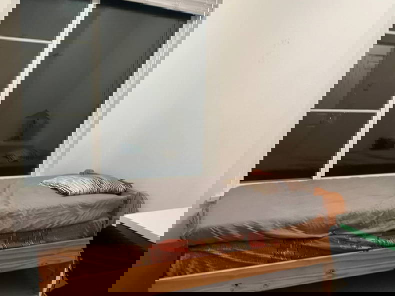 Kolokasie Surrey 635997-3