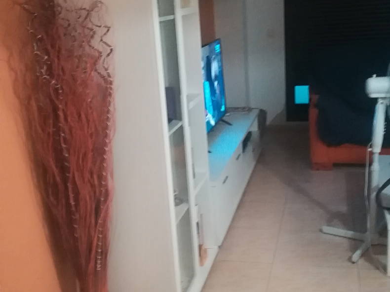 Gastfamilie Zaragoza 212760-1