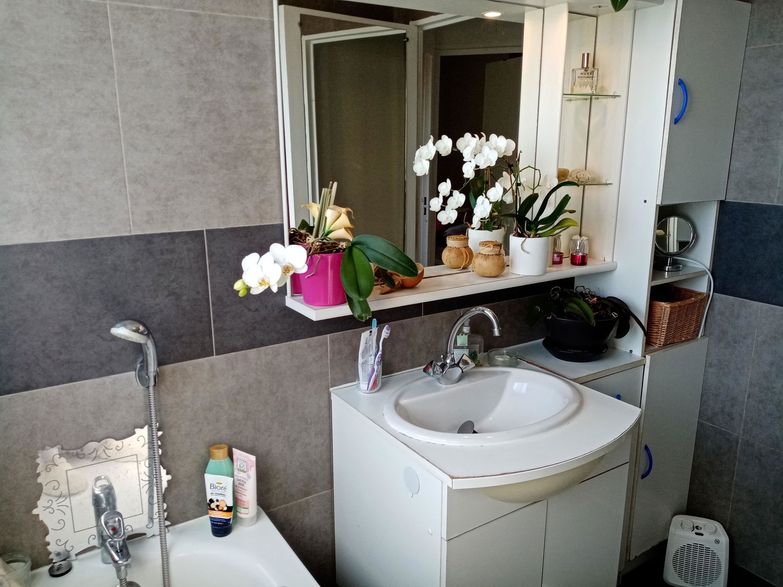 Homestay Nice 241736