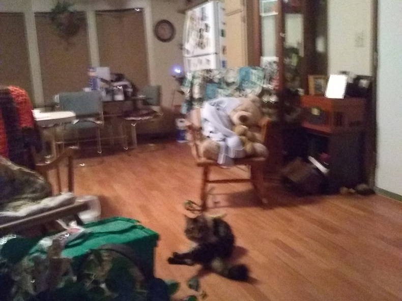 Homestay Patterson 212443-3