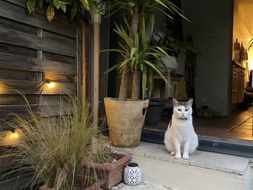 Chambre Chez L'habitant Le Pecq 220319-6