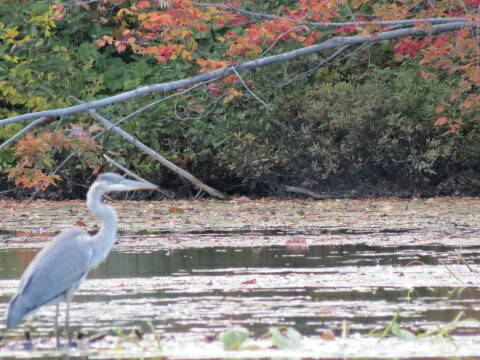 Quedarse En Casa Prévost 199376-2