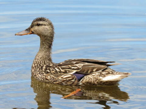 Quedarse En Casa Prévost 199376-3