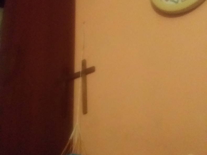 Tuisverblyf Providencia 245908-5