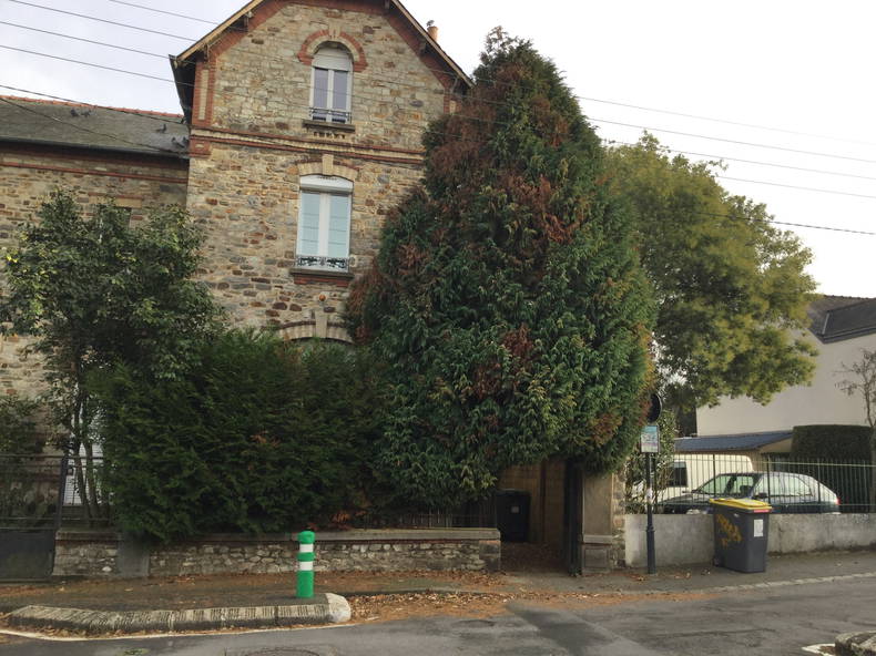 Chambre Chez L'habitant Rennes 227892-2