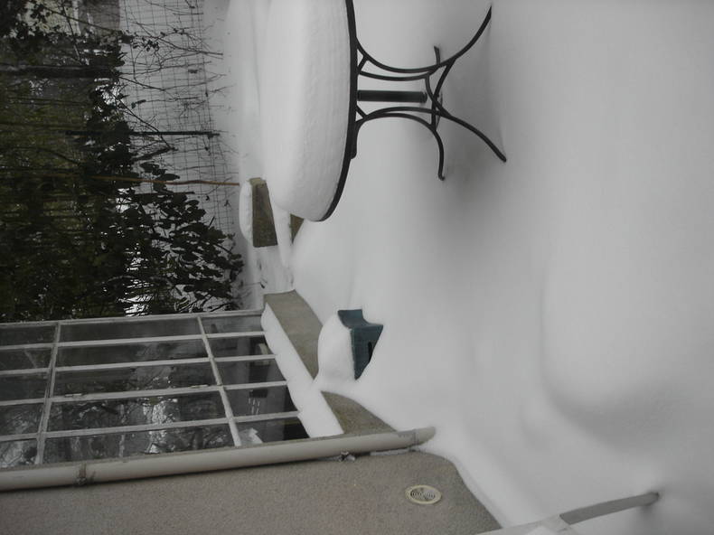 Gastfamilie Rillieux-la-Pape 230466-2