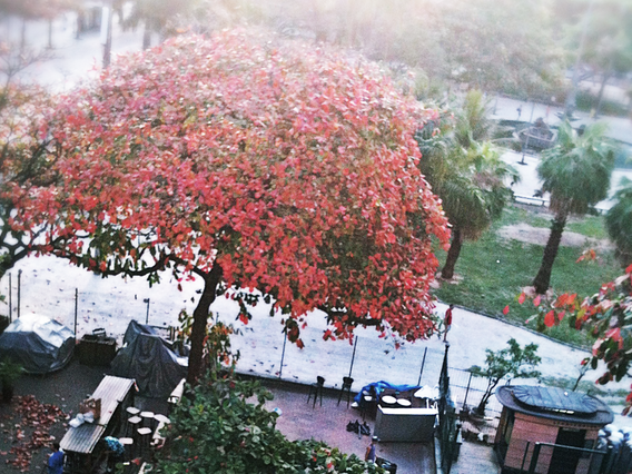 Gastenkamers Rio de Janeiro 41560-1