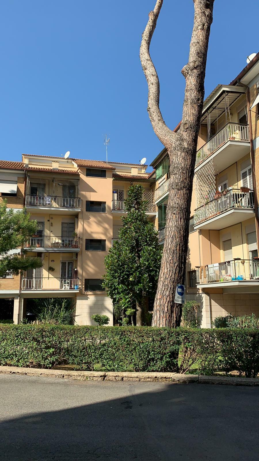 Homestay Roma 218056