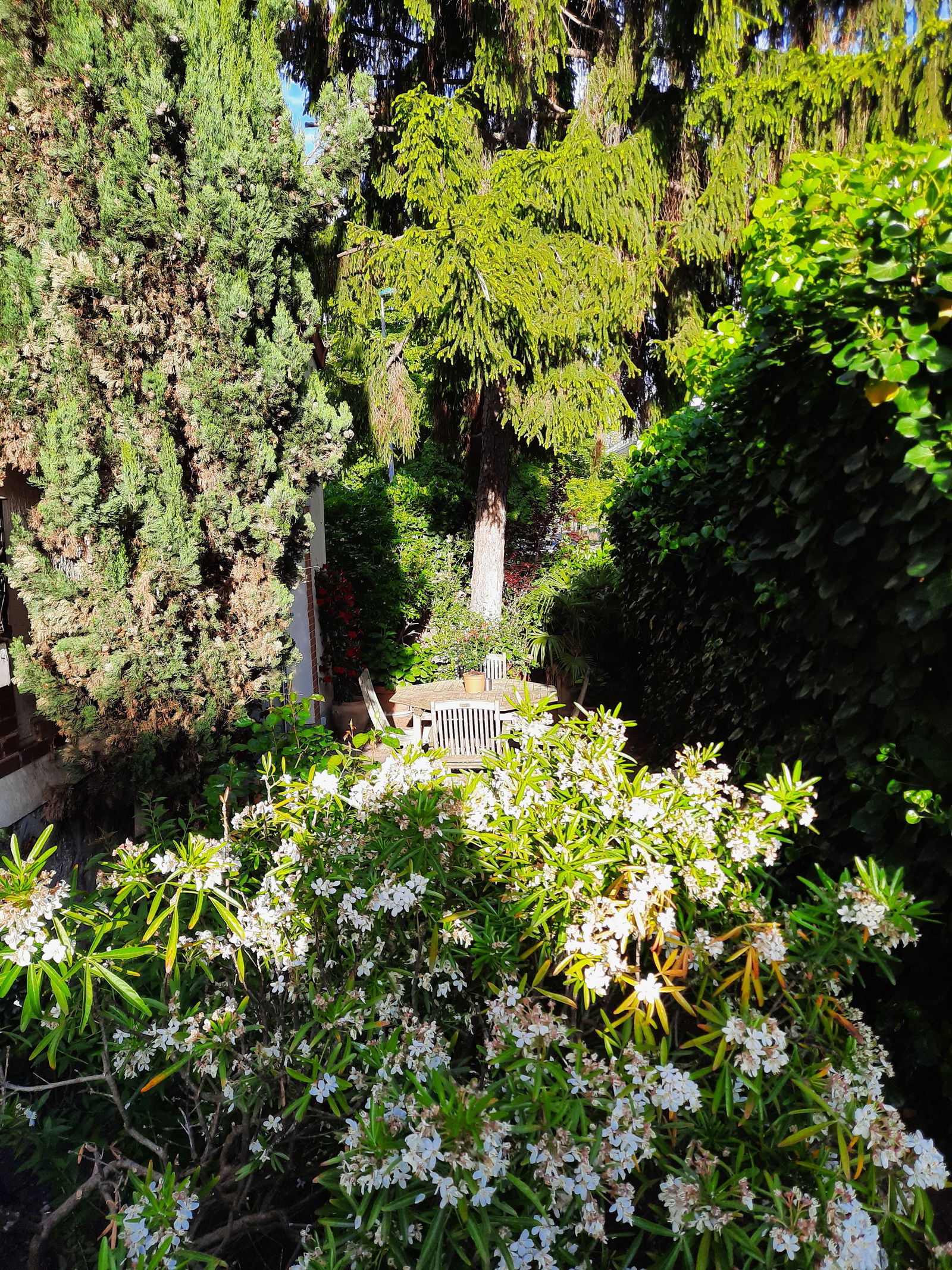 Homestay Suresnes 254223